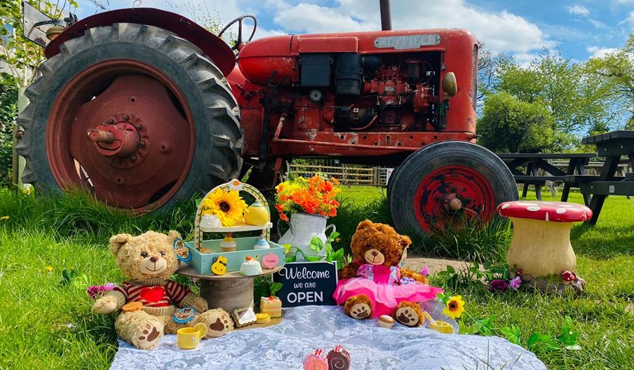 A tractor in a field, with two teddies enjoying a picnic