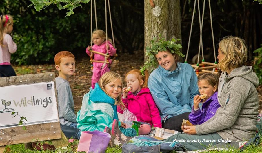 Summer Wildlings at The Wolseley Centre