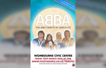 Abba Tribute - Wombourne