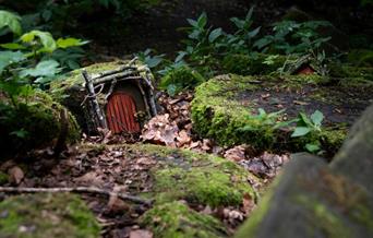 Summer Trail at Stafford Castle