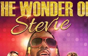 The Wonder of Stevie