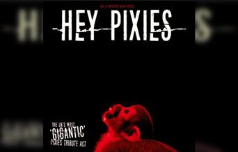 Hey Pixies