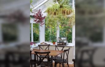 Sunday Lecture Group - Houseplants in all their glory