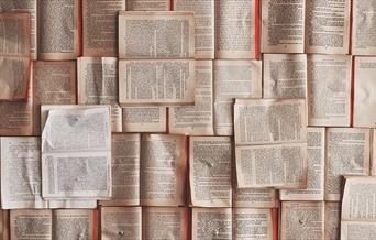 Many open books laid out together