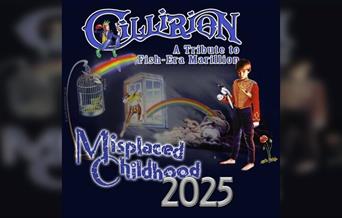 Misplaced Childhood