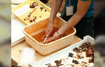Talk: Recent archaeological discoveries of Staffordshire