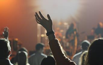 Audience at a music concert