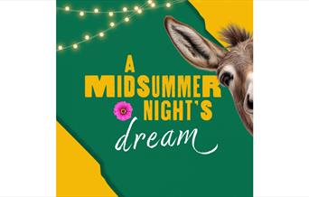 A Midsummer Night's Dream