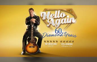 Hello Again.. The Neil Diamond Songbook