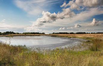 View across the water at Bateswood, photo by David Wain