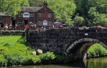 The Black Lion