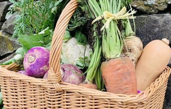 Brooklyn Grange Farm Shop and Camping