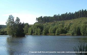 The beautiful Fairoak Pools at Cannock Chase, Staffordshire. Copyright Geoff Pick.