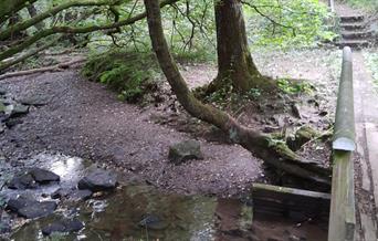 bridge over a stream