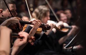 Violin players