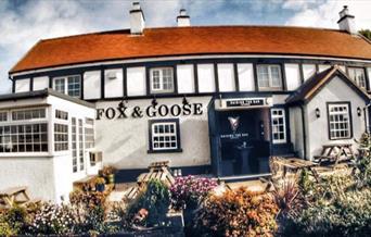 Fox and Goose