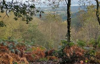 Hawksmoor Nature Reserve