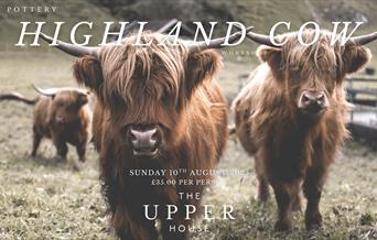 Highland Cow Workshop with HSL Pottery