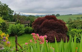 Image shows a colourful English garden, looking out over rolling green fields