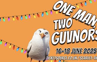 One Man, Two Guvnors