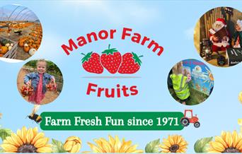 Manor Farm Fruits