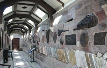 Fossil Making