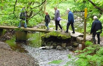 Servants Bridge in the National Forest- photo by Philip Thorne.