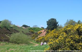 Park Hall Country Park in Stoke-on-Trent, Staffordshire. Image: Phil Eptlett.