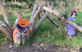 RSPB Coombes Valley Halloween trail