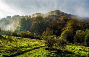 RSPB Coombes Valley Nature Research