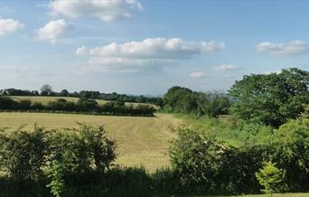 Richmore Hall Campsite