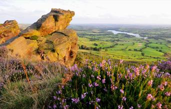 The view from the Roaches, photo by Cathy Bower