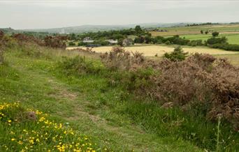Thorswood, photo by David Wain
