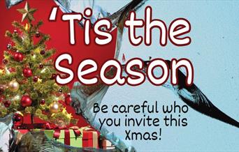 THEATRE NIGHTS - 'Tis the Season – A Christmas Comedy