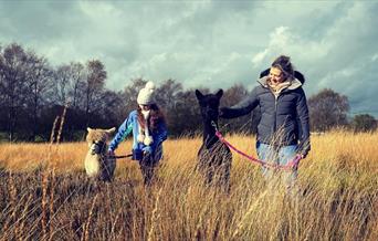 images shows an adult female and a female child standing each with an Alpaca