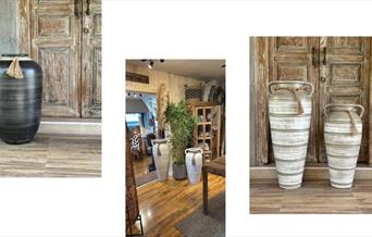 Wild Interiors