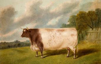 Watercolour painting of a bull