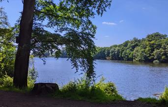 Knypersley Reservoir