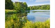 The Trentham Lake