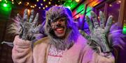 Wolf from Little Red Riding Hood