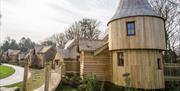 Luxury Treehouses