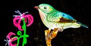 An illuminated bird on the light trail at Alton Towers, Staffordshire