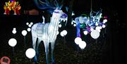 Some of the wonderful illuminated reindeer at Lightopia, Alton Towers Resort, Staffordshire