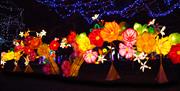 A dazzling display of illuminated flowers at Alton Towers Resort, Staffordshire