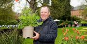 Person holding a plant pot