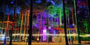 Sundown Adventures at Go Ape