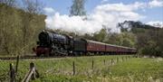 A sunny day in a lush green valley, as a train chugs past