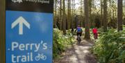 Image shows the Perry's Trail sign at Cannock Chase Forest, with three mountain-bikers zooming off into the distance