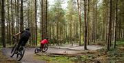 Image shows two mountain-bikers on Perry's Trail at Cannock Chase Forest