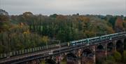 A train crosses a viaduct with an Autumnal background of grey, cloudy skies, and leaves starting to change colour